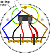 End loop-in ceiling rose wiring