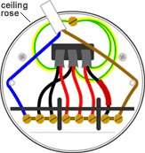 Looped-in lighting wiring - the ceiling rose