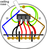 Looped In Lighting Wiring The Ceiling Rose