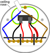 Looped In Lighting Wiring The Ceiling Rose