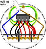 lights on one switch loop-in ceiling rose