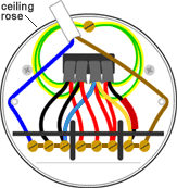 Lighting with connected extractor fan ceiling rose