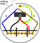 radial lighting ceiling rose