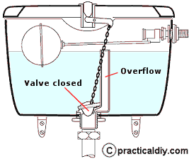 Flap flush valve with overflow