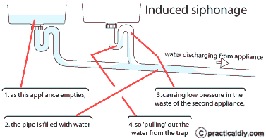 induced siphon waste trap