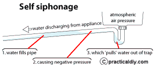 self siphon waste trap