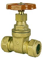 gate valve